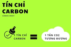 tin chi Carbon